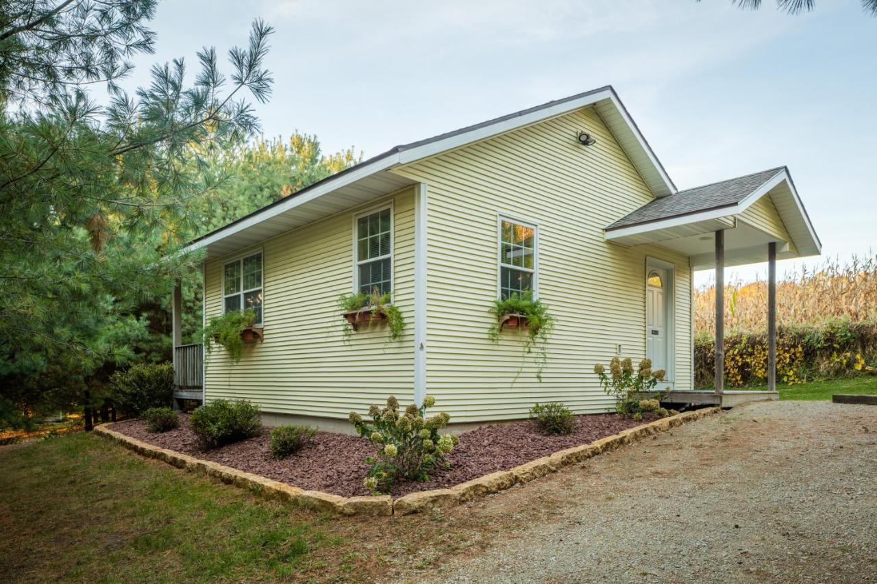 Hawk Valley Retreat & Cottages 갈레나 외부 사진