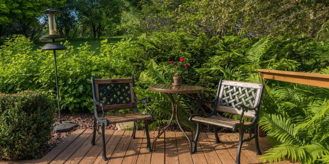 Hawk Valley Retreat & Cottages 갈레나 외부 사진